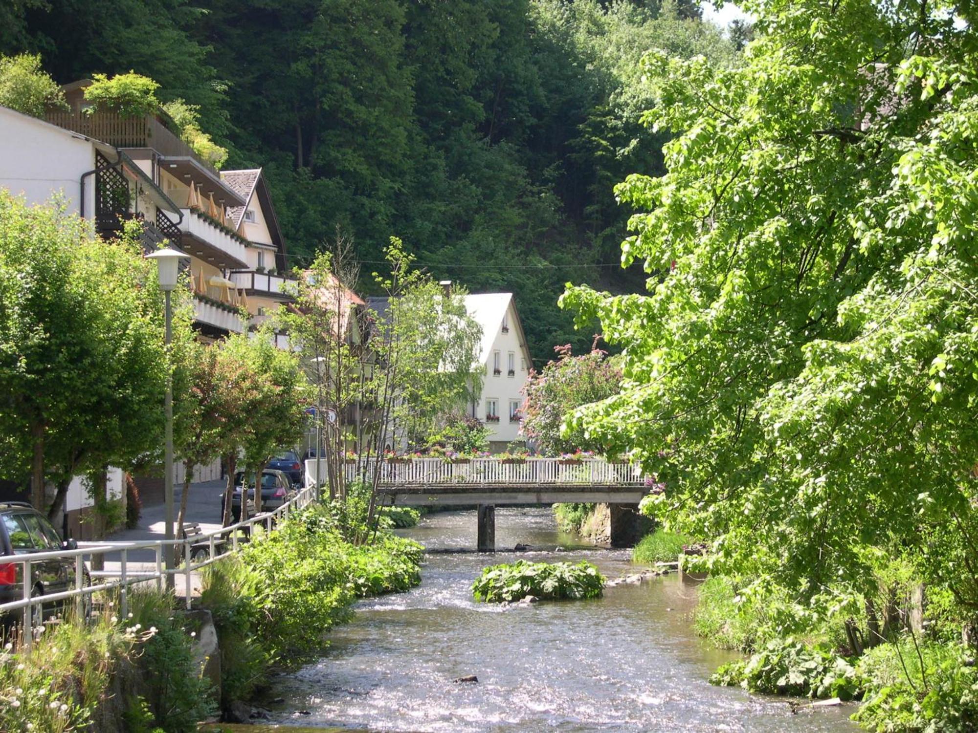 Hotel Heissinger Bad Berneck im Fichtelgebirge Exteriér fotografie